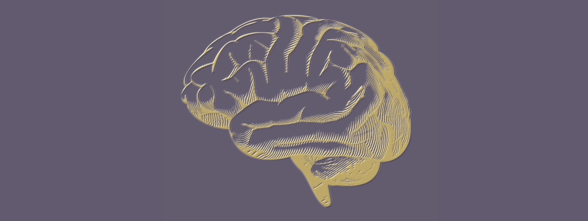 Magnesium verbetert breinfunctie