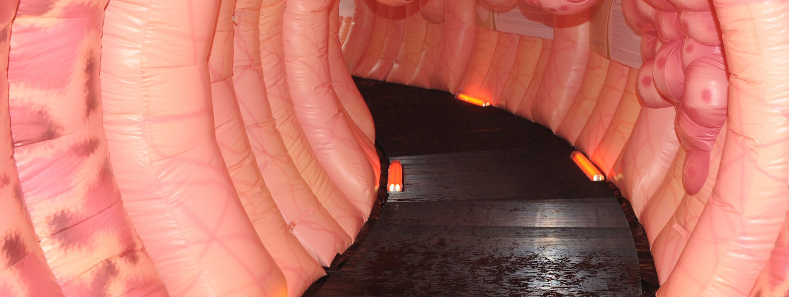 Ontstekingsremmende voeding tegen darmontsteking