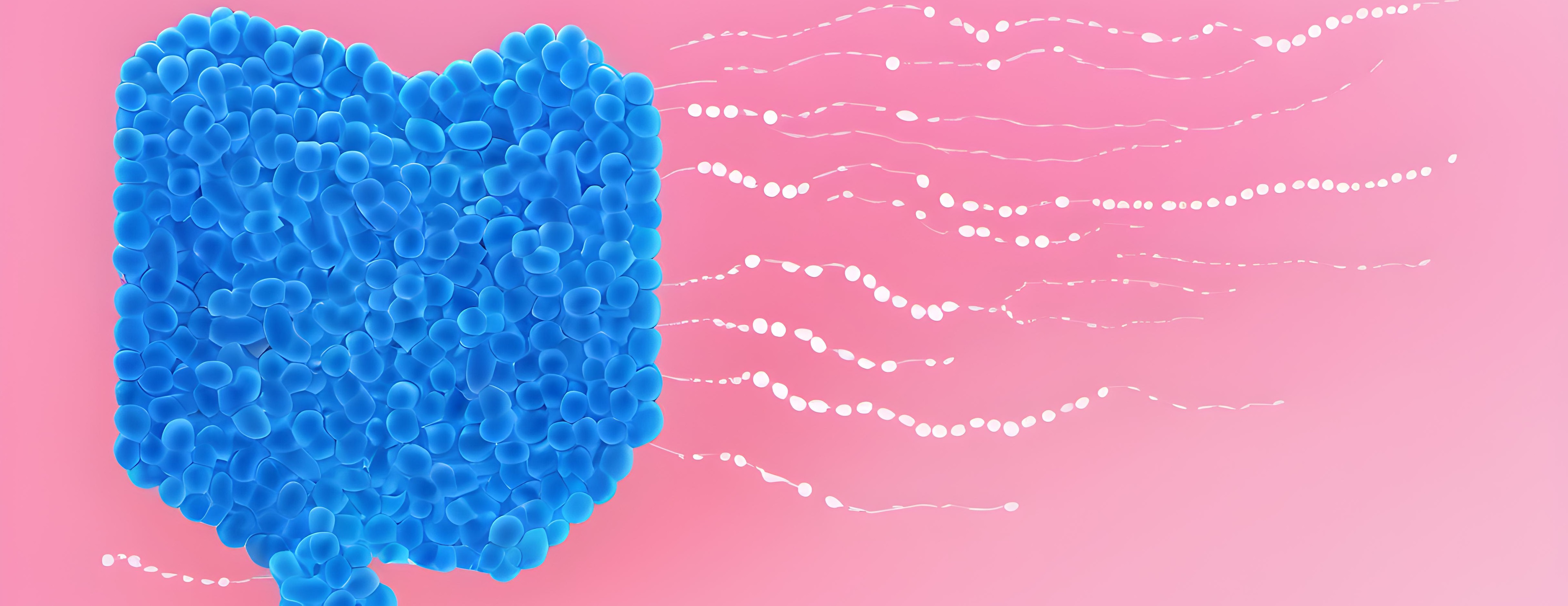 Zout en de darmflora