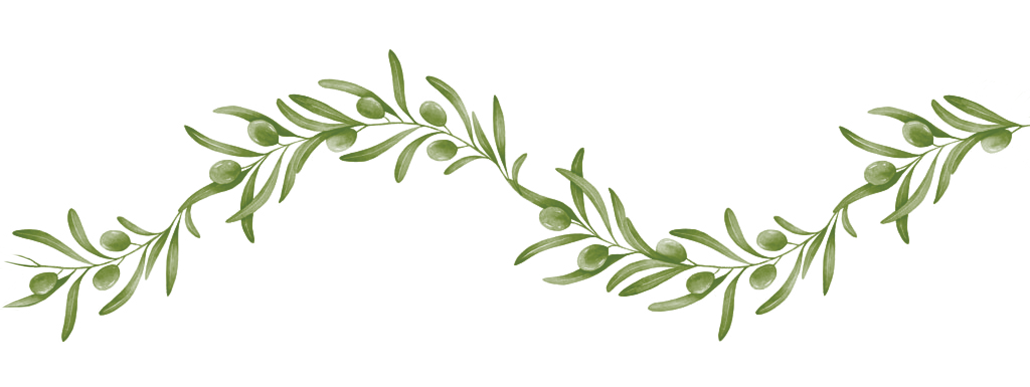 Olijfbladextract is potentiële bloeddrukverlager