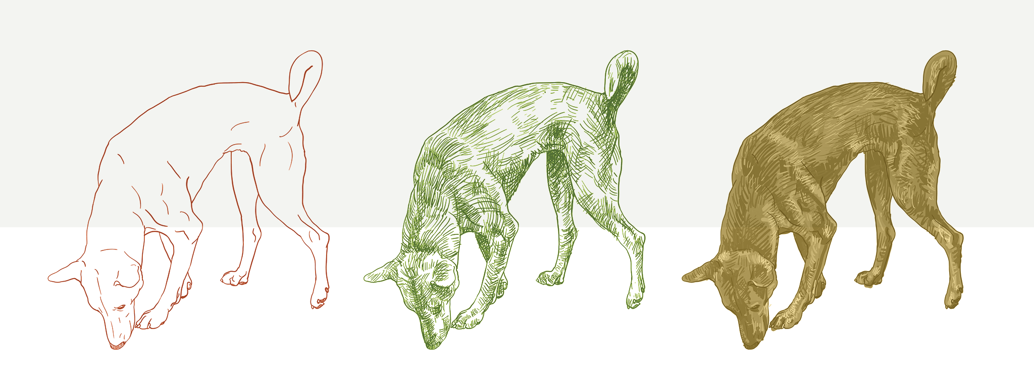 Honden ruiken parkinson in vroeg stadium