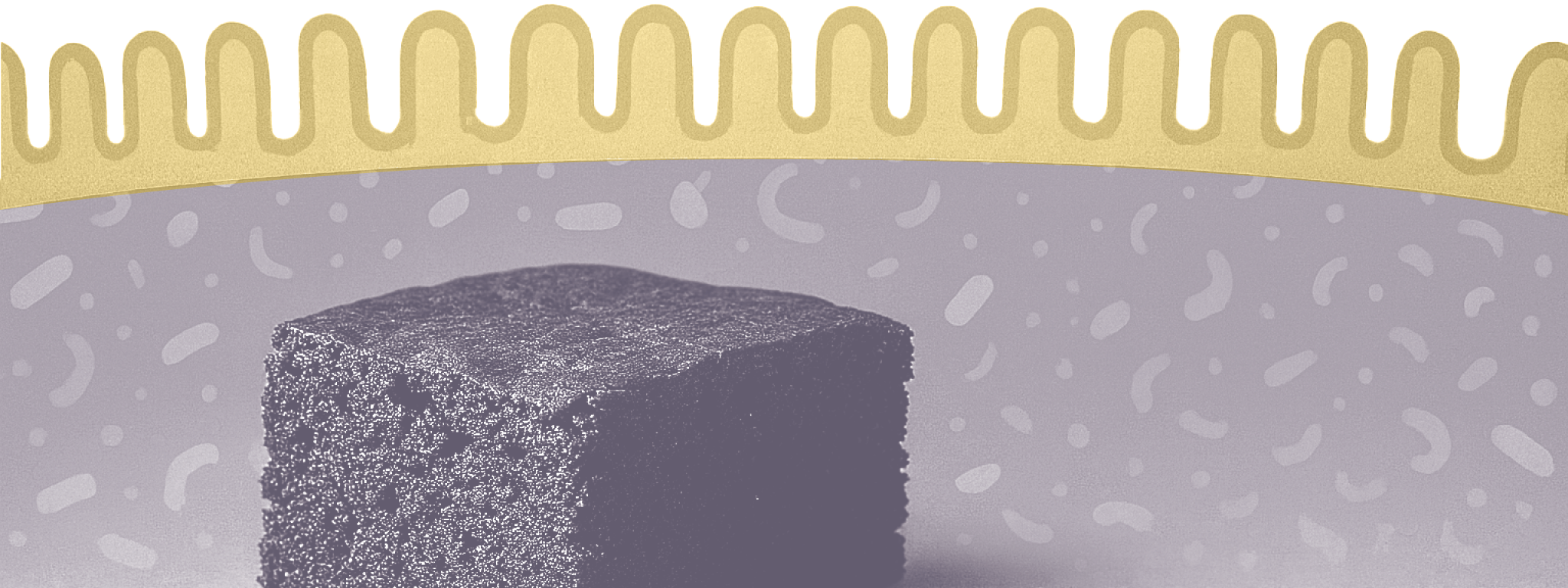 Emulgatoren hebben klein effect op de darm 