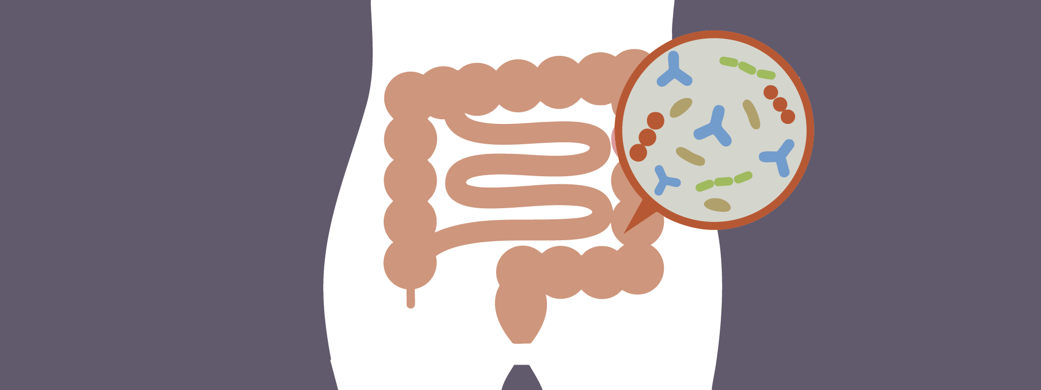 Probiotica verlichten obstipatie en stress