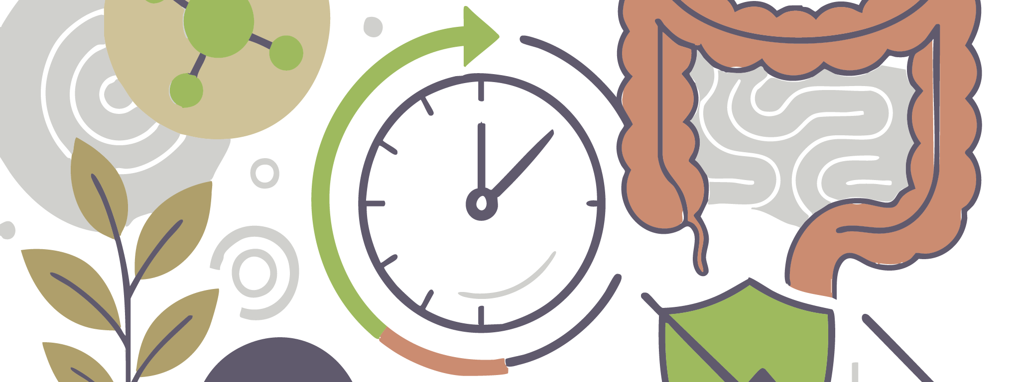 Berberine en darmkanker na zes jaar follow-up