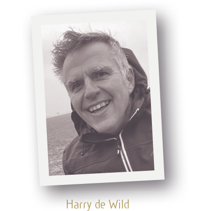 Harry de Wild