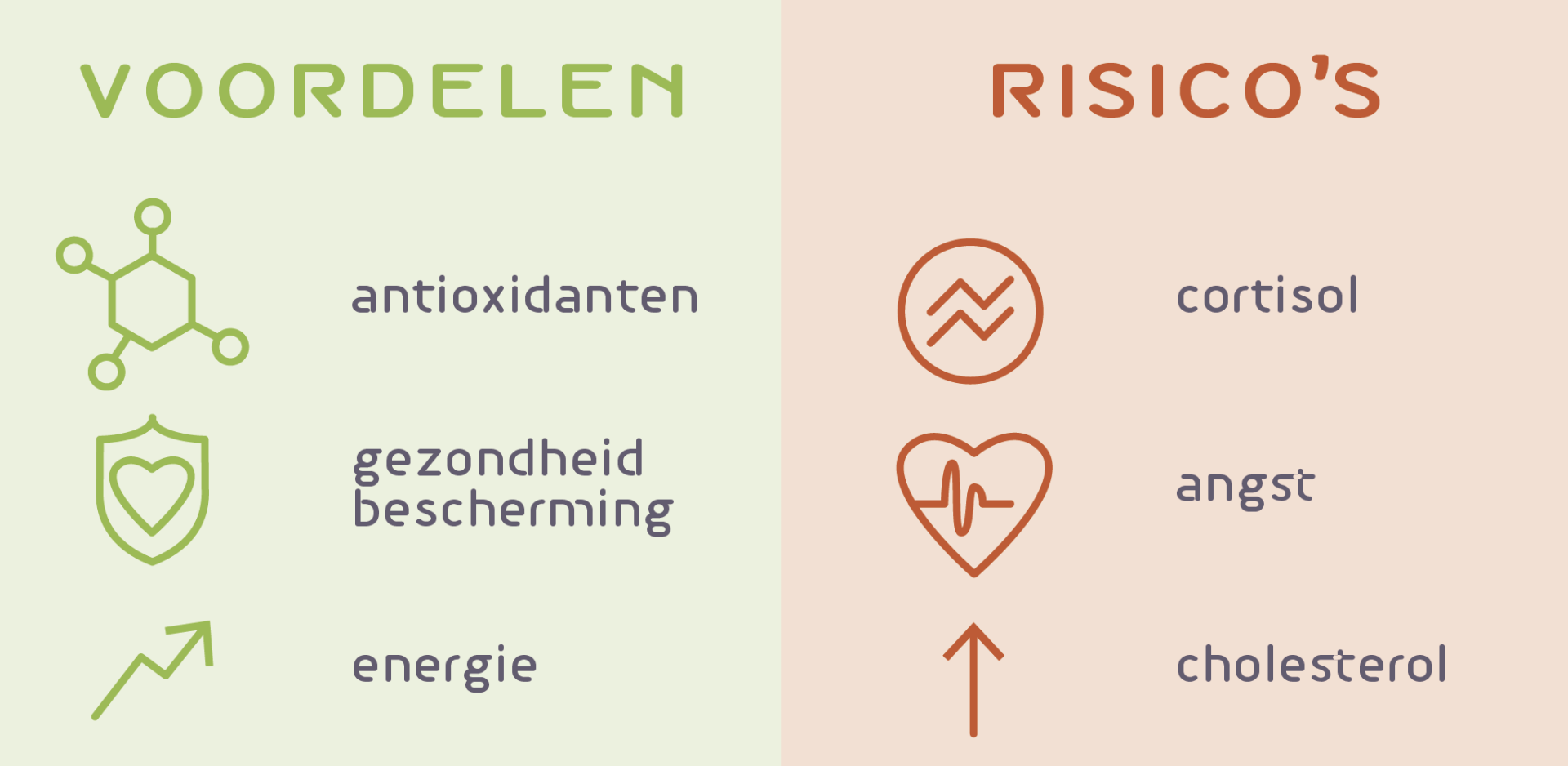 Figuur 1 Voordelen en risico's