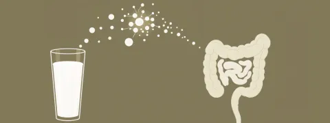 Kefir en microbiota