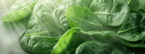 Luteïne verbetert metabolisme