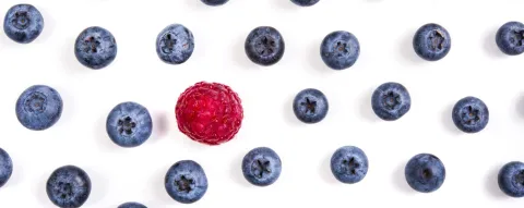 Antioxidanten als antisepsis