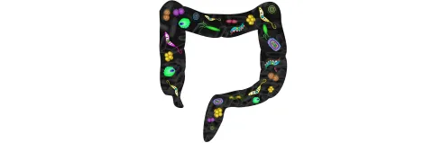 Diversiteit sleutel tot kolonisatieresistentie