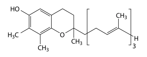 Gammatocoferol tegen vuile lucht