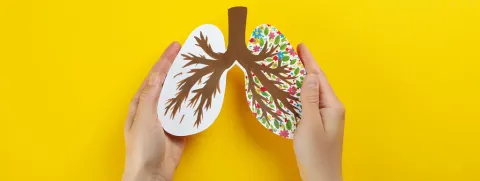 Antioxidantnetwerk tegen longkanker