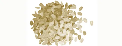 Haverfermentatie levert postbioticum af