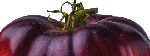 Lycopeen voor gezonder overgewicht en suikerspiegel