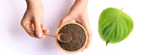 Perilla voor de botten