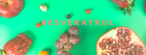 Resveratrol voor een goede nierwerking