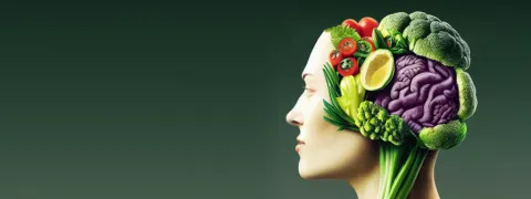 Voeding en hersenen