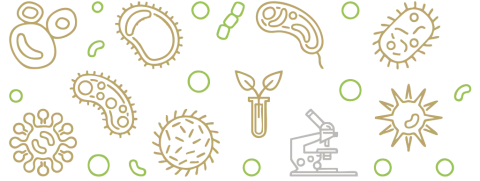 Darmmicrobioom bepaalt reacties op voeding