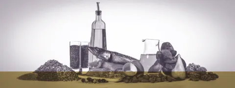 Mediterrane voeding vertraagt hersenveroudering Mediterrane voeding vertraagt hersenveroudering