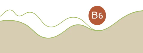 Vitamine B6 anti-emeticum