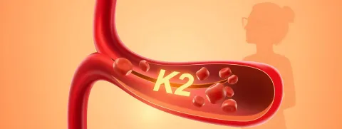 Vitamine K, bloedvaten en menopauze