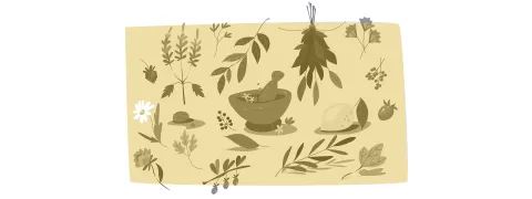 Fytotherapie voor de urinewegen