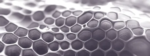 De nieuwe wetenschap van anti-aging