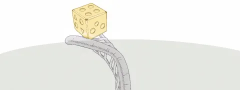 Ziekte en pech