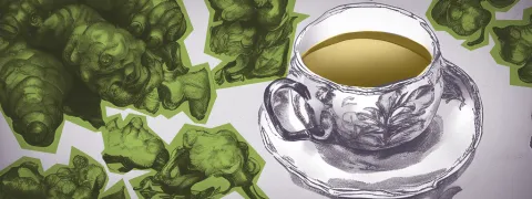 Groene thee en gember versterken uithoudingsvermogen