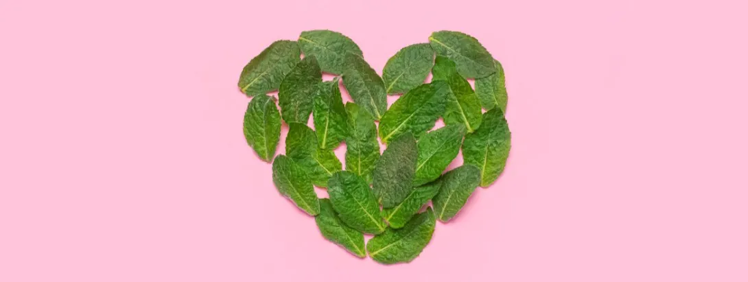 Citroenmelisse goed tegen overslaand hart
