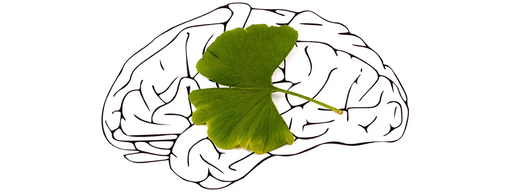 Ginkgo herstelt beroerte