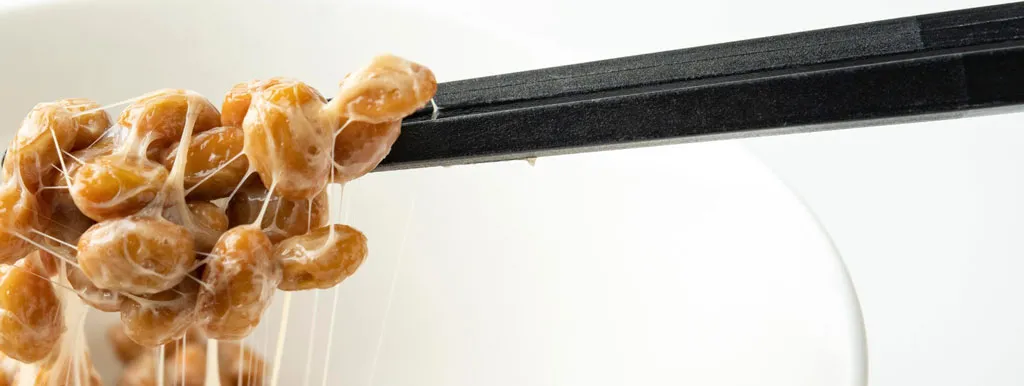 Nattokinase en rodegistrijst cholesterverlagend