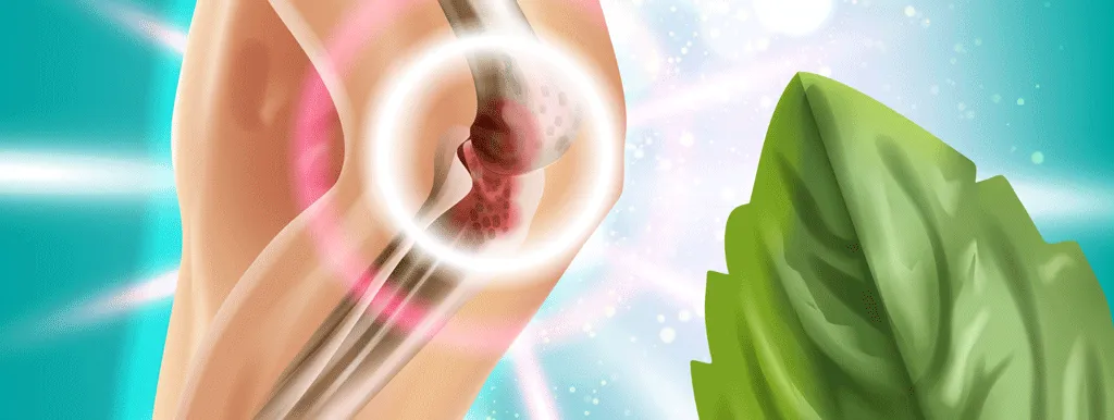 Plantaardig doet het goed bij reuma