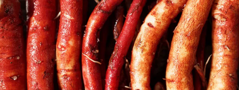 Danshen verbetert metabolisme PCOS