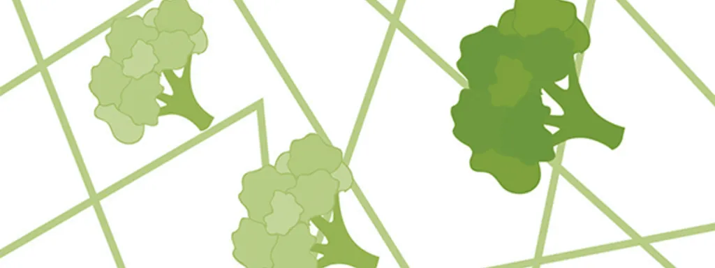 Kiemgroente in de preventie van diabetes