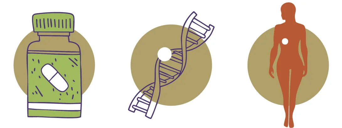 Fyto-oestrogenen beïnvloeden puberteit?