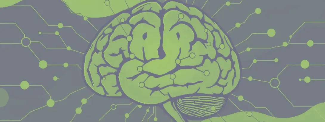 Vetzuren voor de hersenontwikkeling