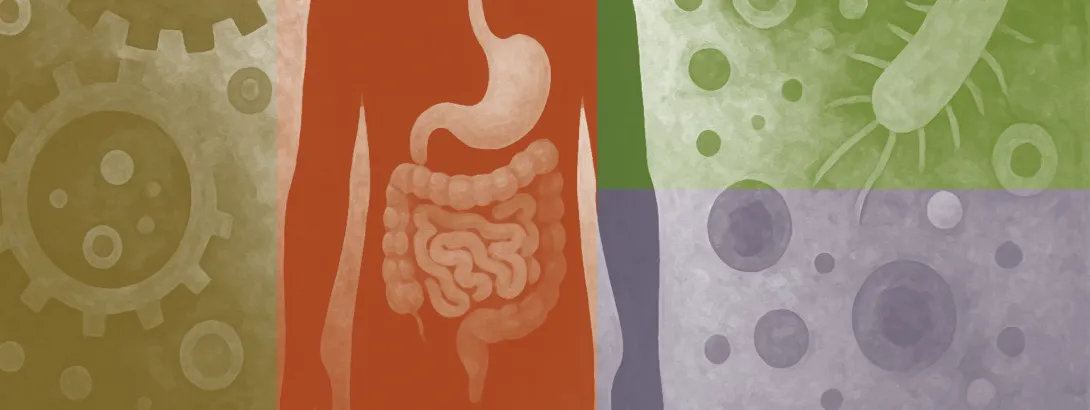 Darmgezondheid en metabolisme Darmgezondheid en metabolisme